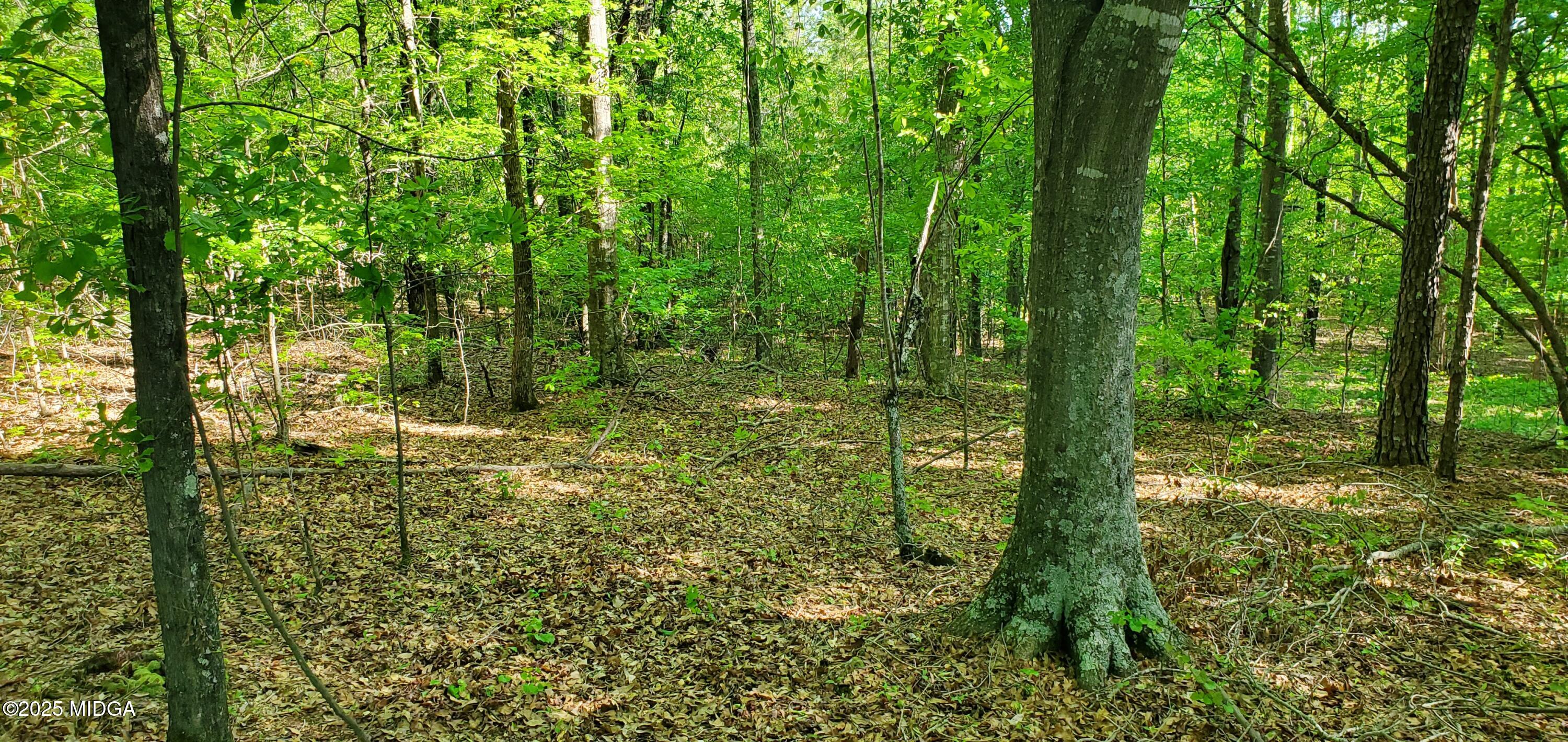 0 Highway 57 Macon, GA 31217 - Photo 17 of 23 a view of outdoor space and trees