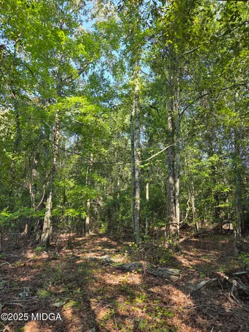 a view of an outdoor space and a yard
