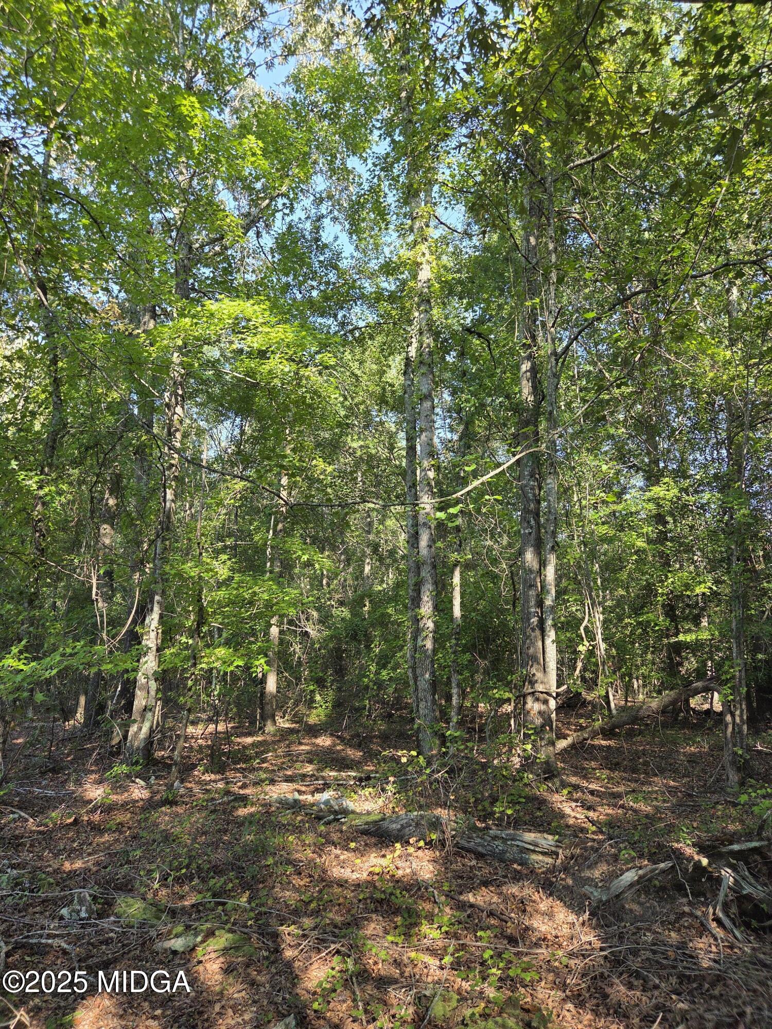 0 Highway 57 Macon, GA 31217 - Photo 20 of 23 a view of a yard with a tree
