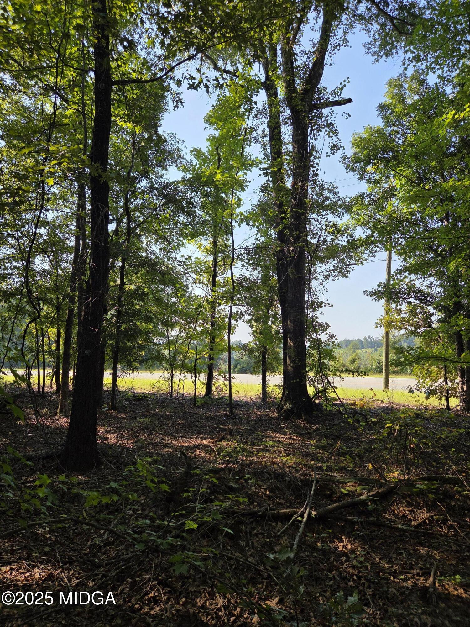 0 Highway 57 Macon, GA 31217 - Photo 2 of 23 a view of an outdoor space with yard