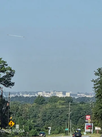 a view of a forest with trees in the background