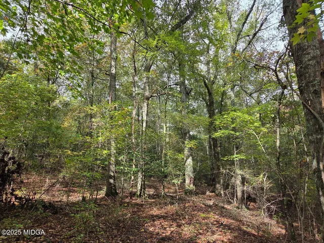 $58,000 | 0 Highway 57, Macon, GA 31217