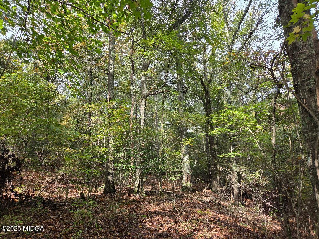0 Highway 57 Macon, GA 31217 - Photo 23 of 23 a view of a forest with trees in the background
