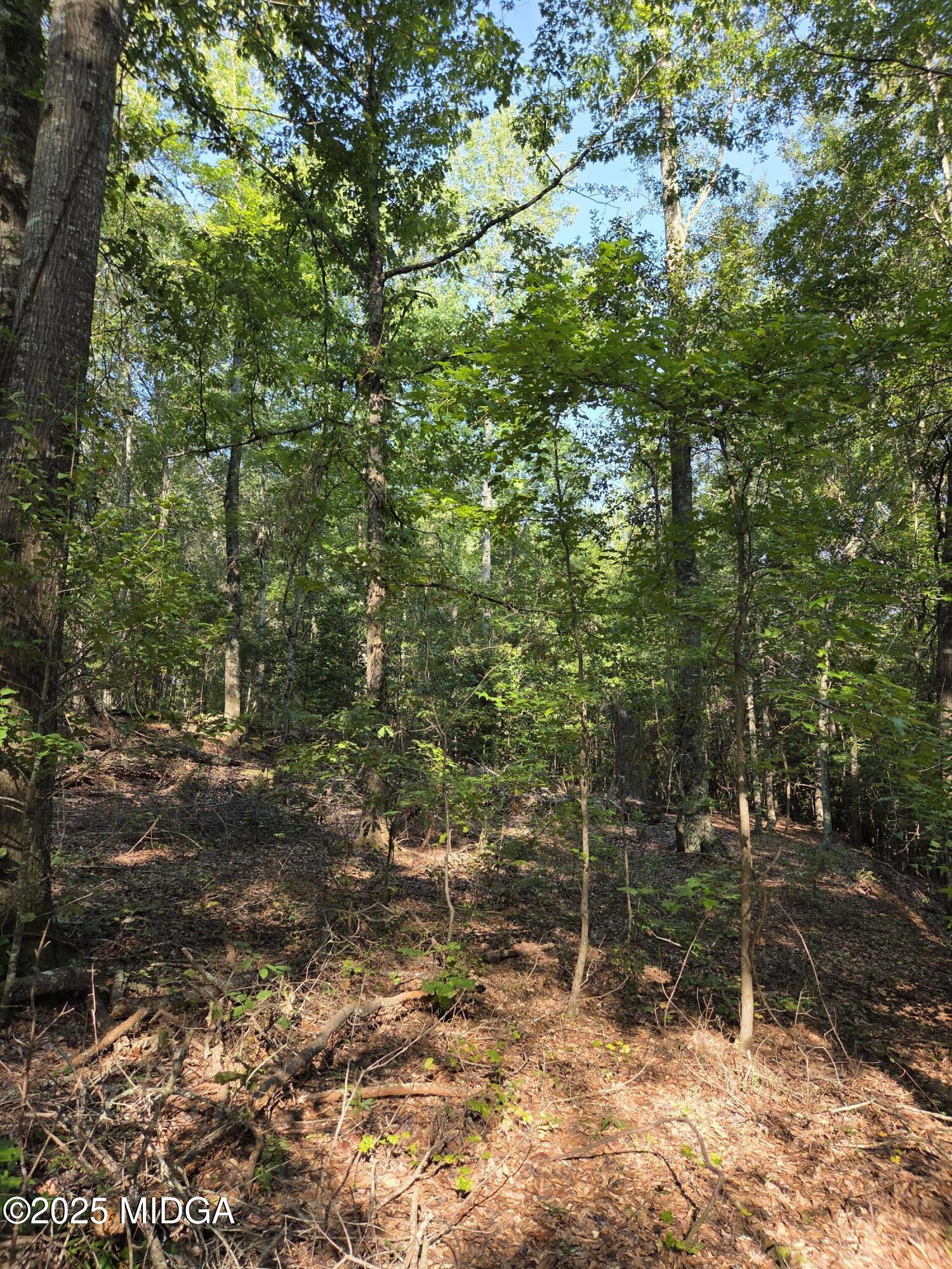 0 Highway 57 Macon, GA 31217 - Photo 4 of 23 a backyard of a house with lots of green space