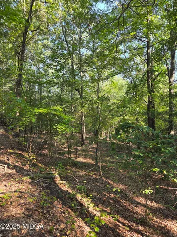 a view of a tree with a yard