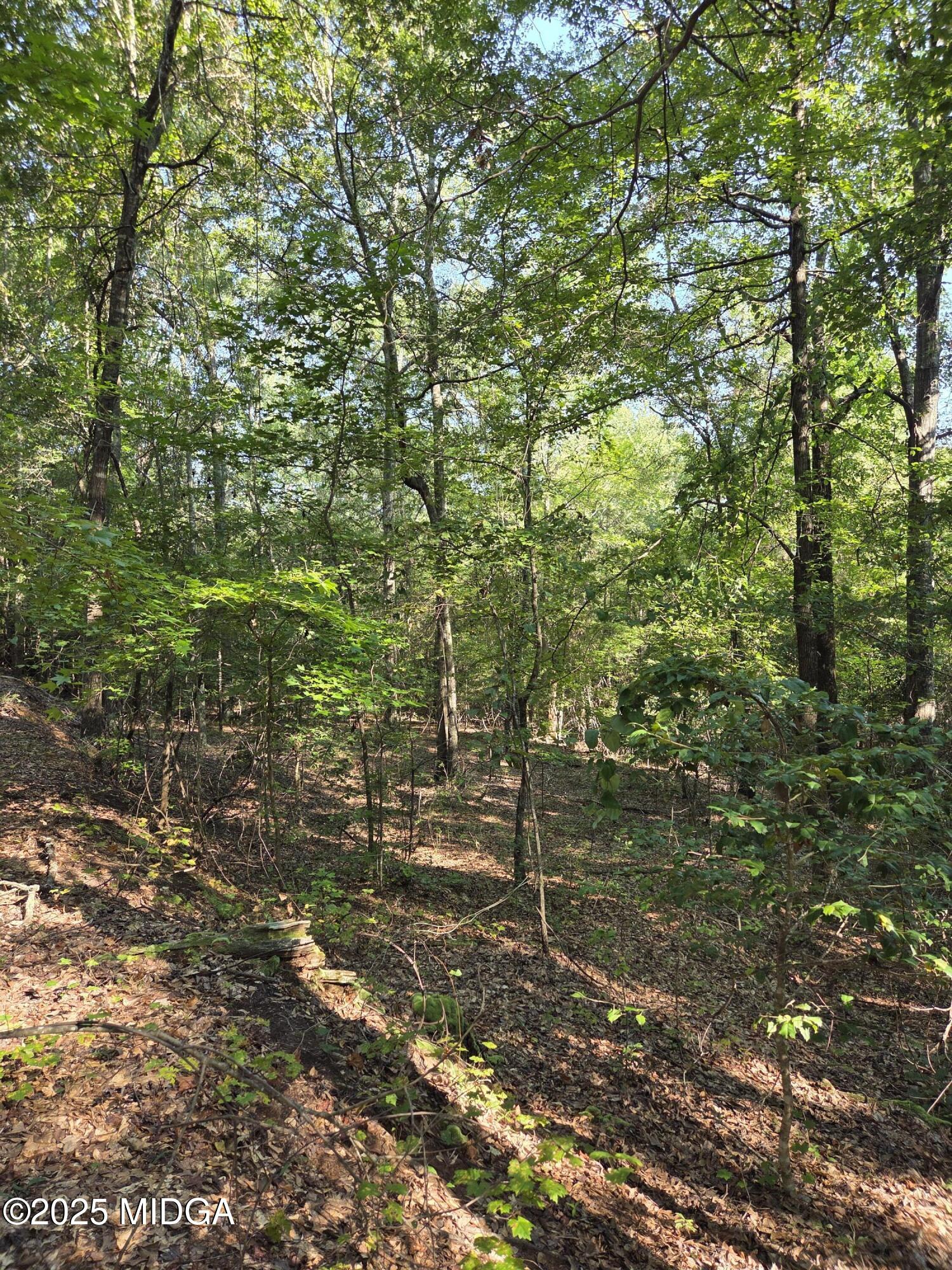0 Highway 57 Macon, GA 31217 - Photo 5 of 23 a view of a tree with a yard