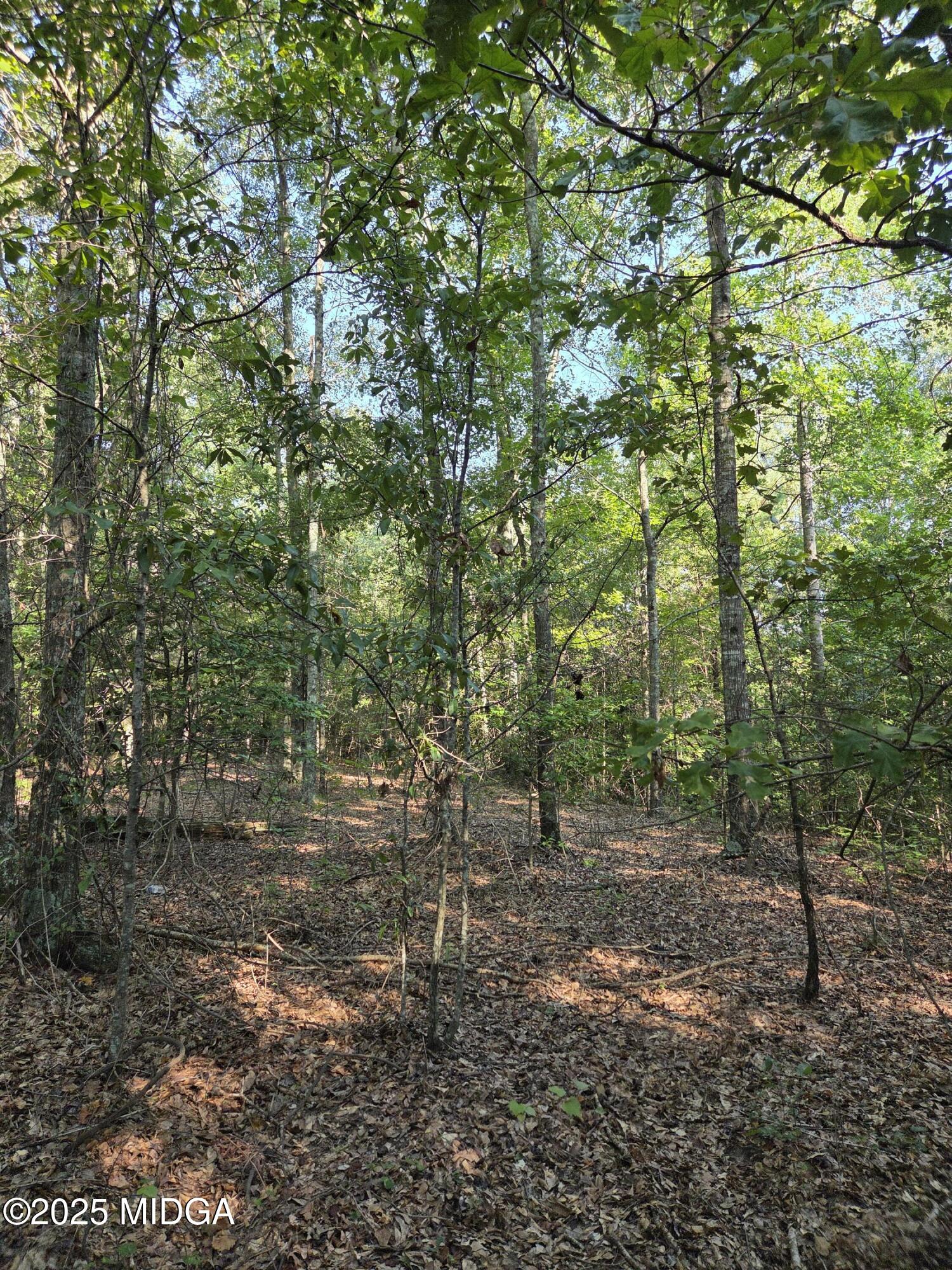 0 Highway 57 Macon, GA 31217 - Photo 7 of 23 a backyard of a house with lots of green space