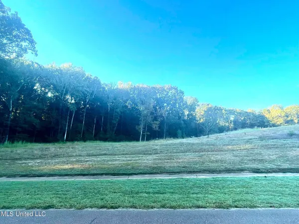 $105,000 | 36 Cyrene Drive, Hernando, MS 38632