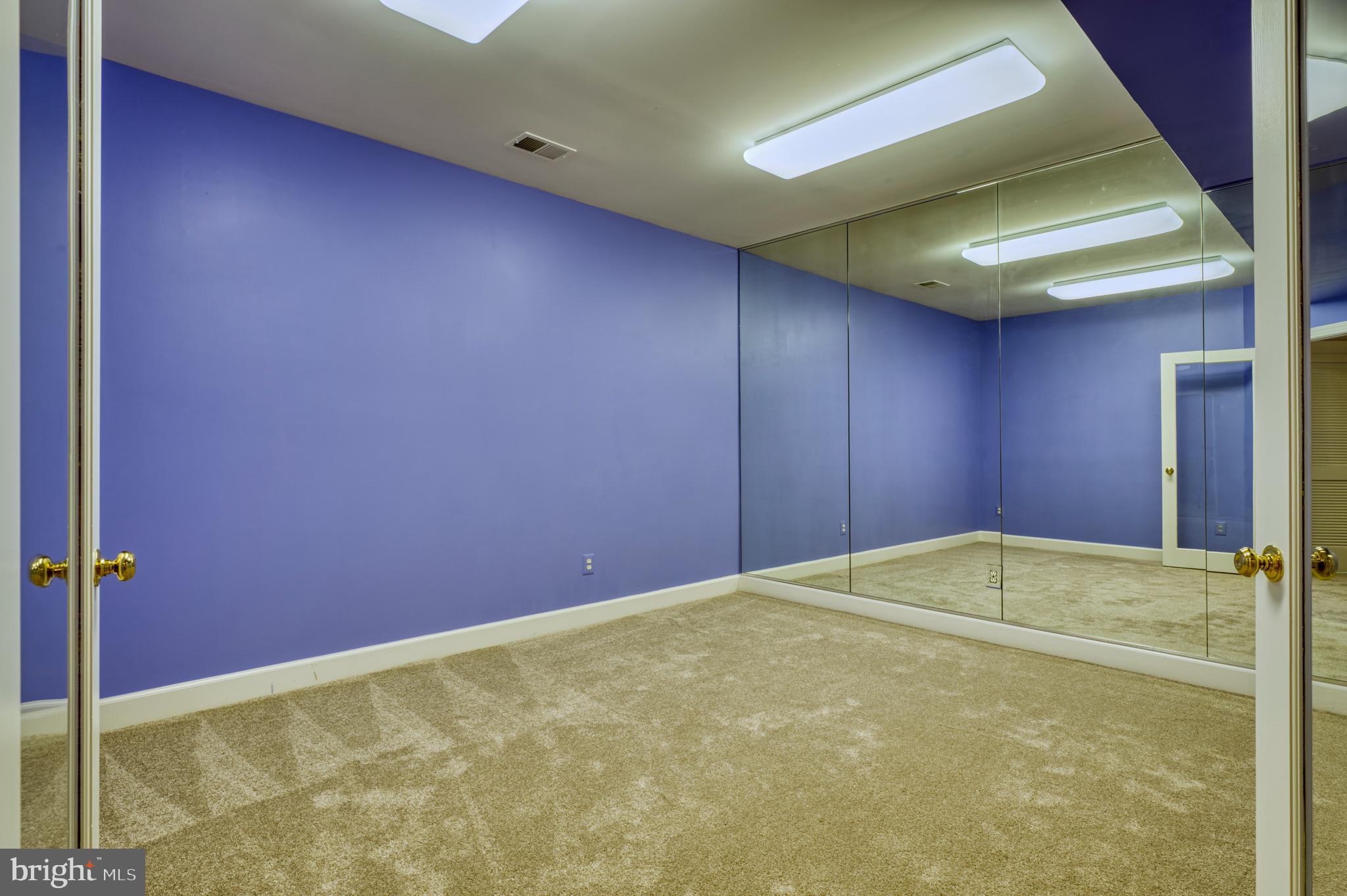 11098 Whitstone Place Reston, VA 20194 - Photo 57 of 76 Exercise/Dance Room