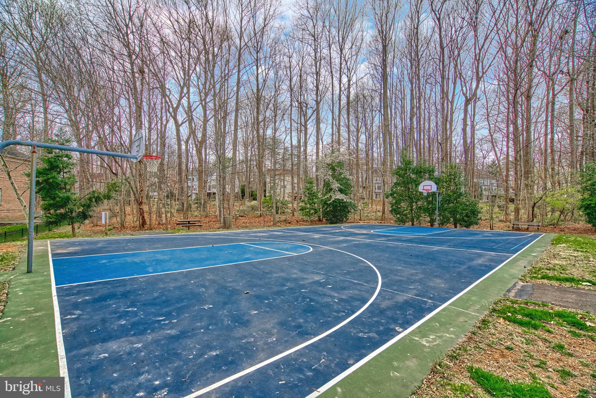 11098 Whitstone Place Reston, VA 20194 - Photo 69 of 76 Community Basketball Court