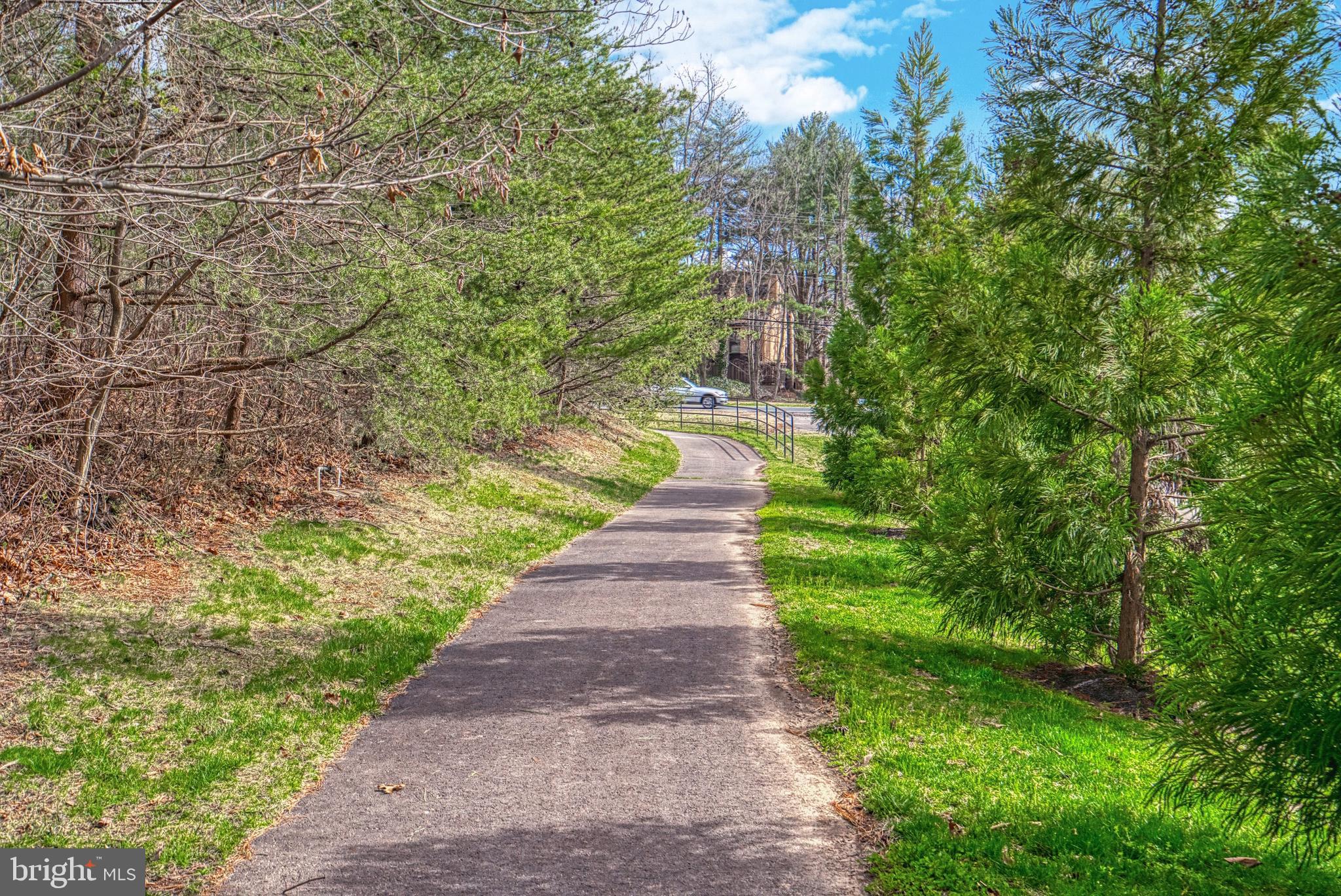 11098 Whitstone Place Reston, VA 20194 - Photo 73 of 76 Community Path