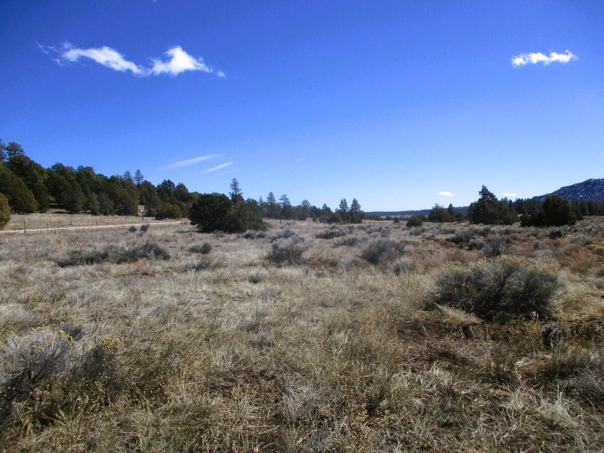 Lot 10 Sagebrush Road Ramah, NM 87321 - Photo 23 of 90 Gallery Image 23