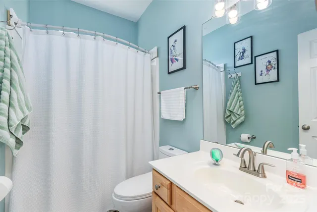 a bathroom with a sink a toilet and shower curtain