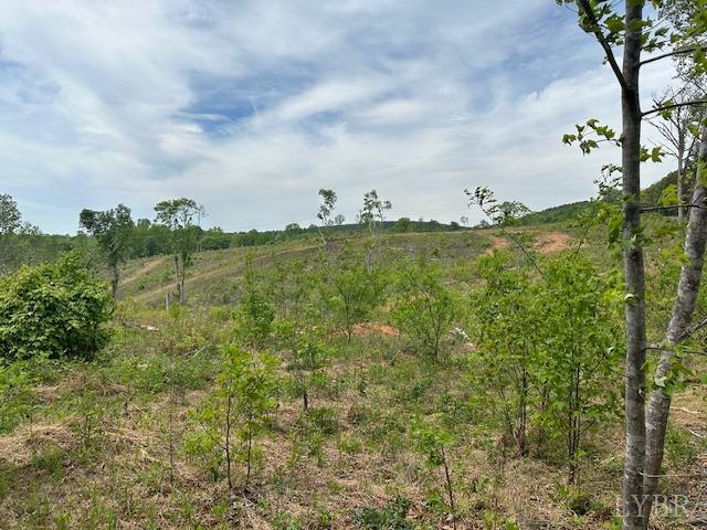 2 Leesville Road Lynch Station, VA 24571 - Photo 3 of 6 Gallery Image 3