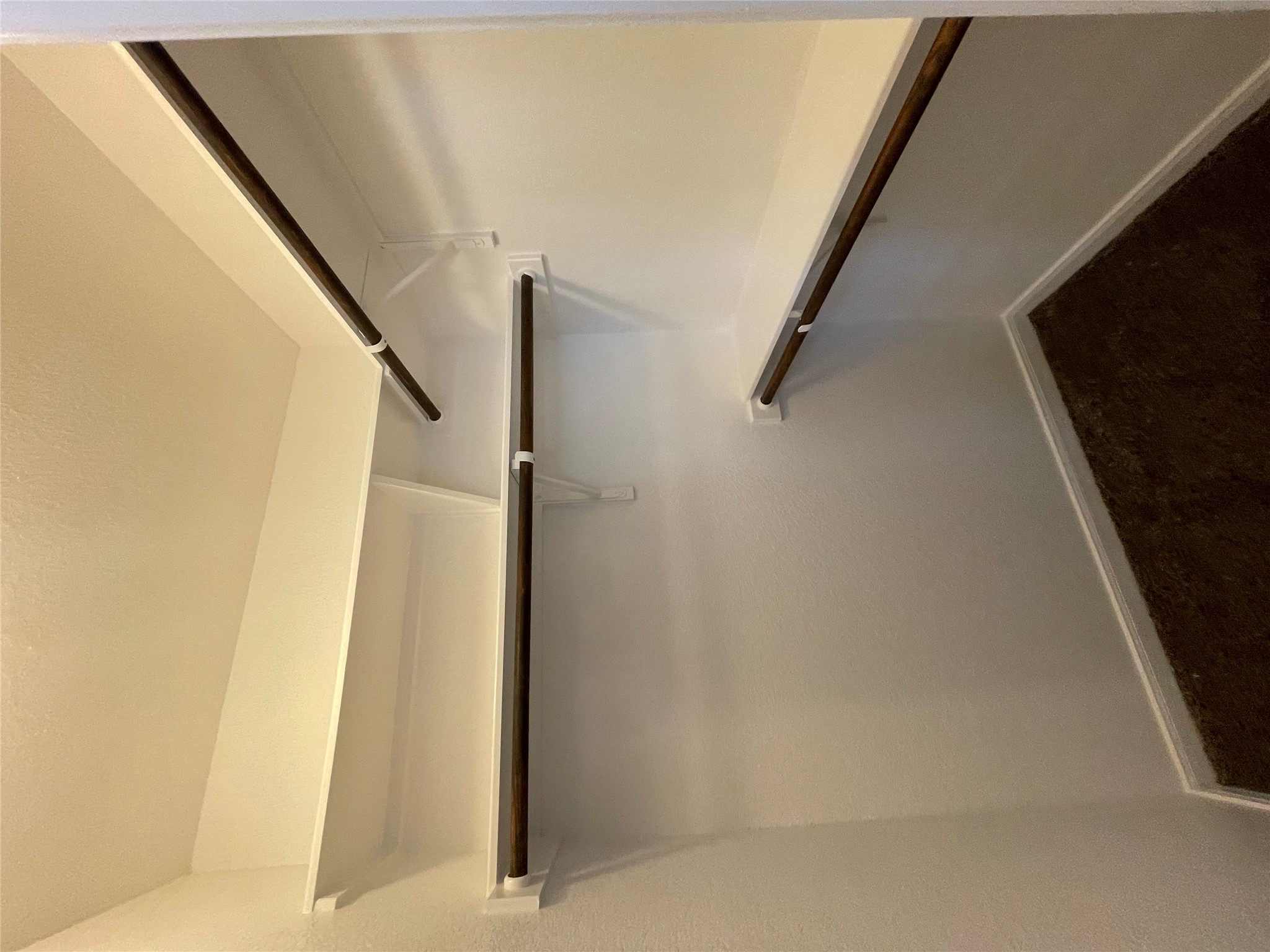 8113 Northgate Loop Temple, TX 76502 - Photo 23 of 35 Walk-in closet featuring white painted walls, dark brown carpet flooring, and white shelving with dark brown hanging rods