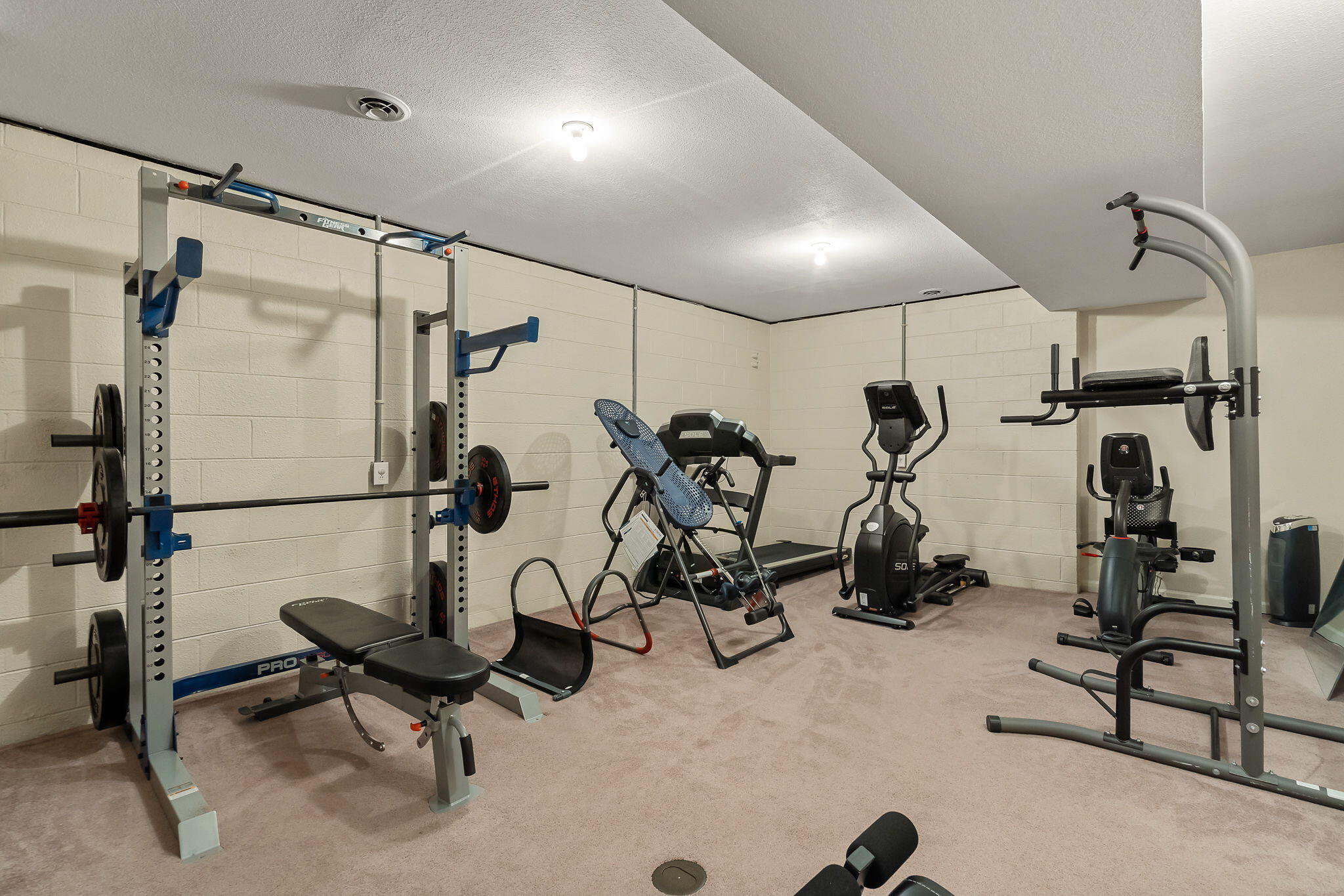 284 White Sands Road Greeneville, TN 37743 - Photo 43 of 54 50-web-or-mls-White Sands 50