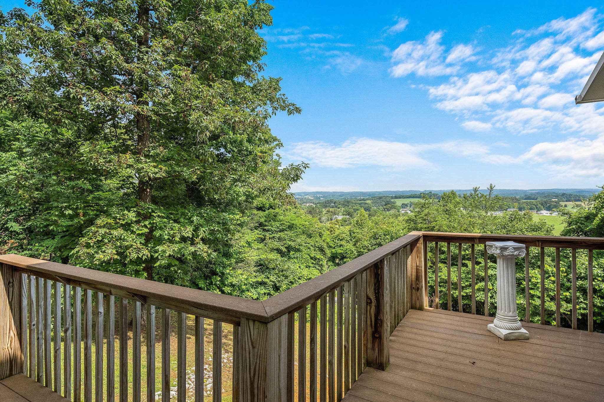 284 White Sands Road Greeneville, TN 37743 - Photo 51 of 54 33-web-or-mls-White Sands 33