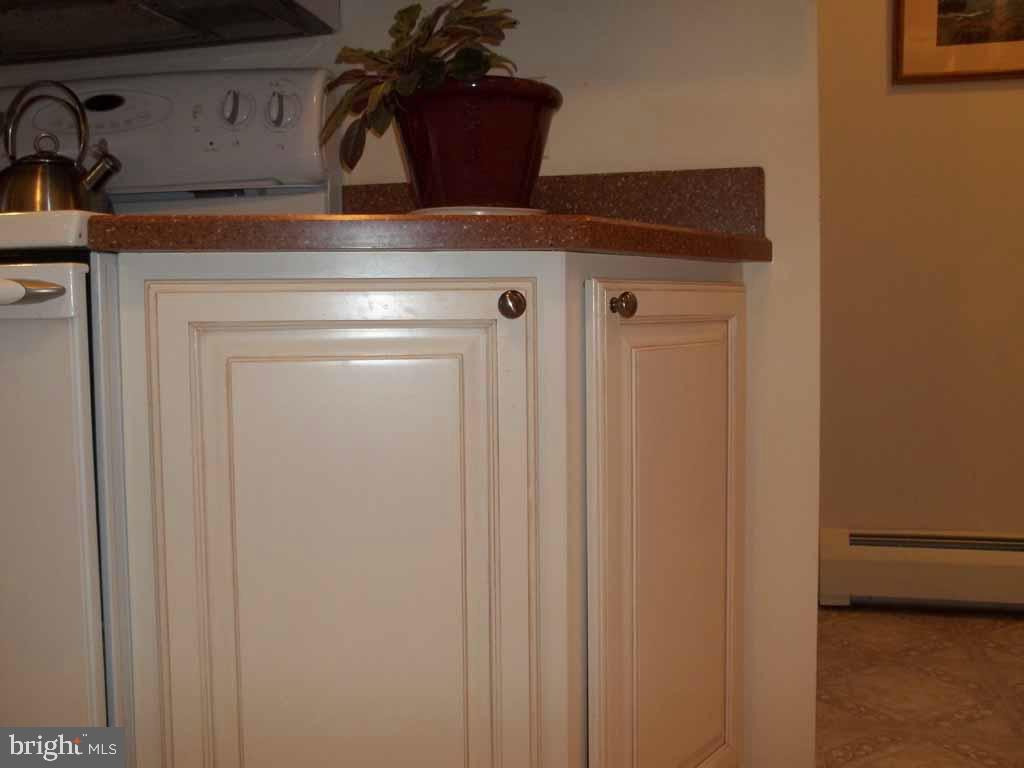 125 Mountain Road Denver, PA 17517 - Photo 4 of 23
