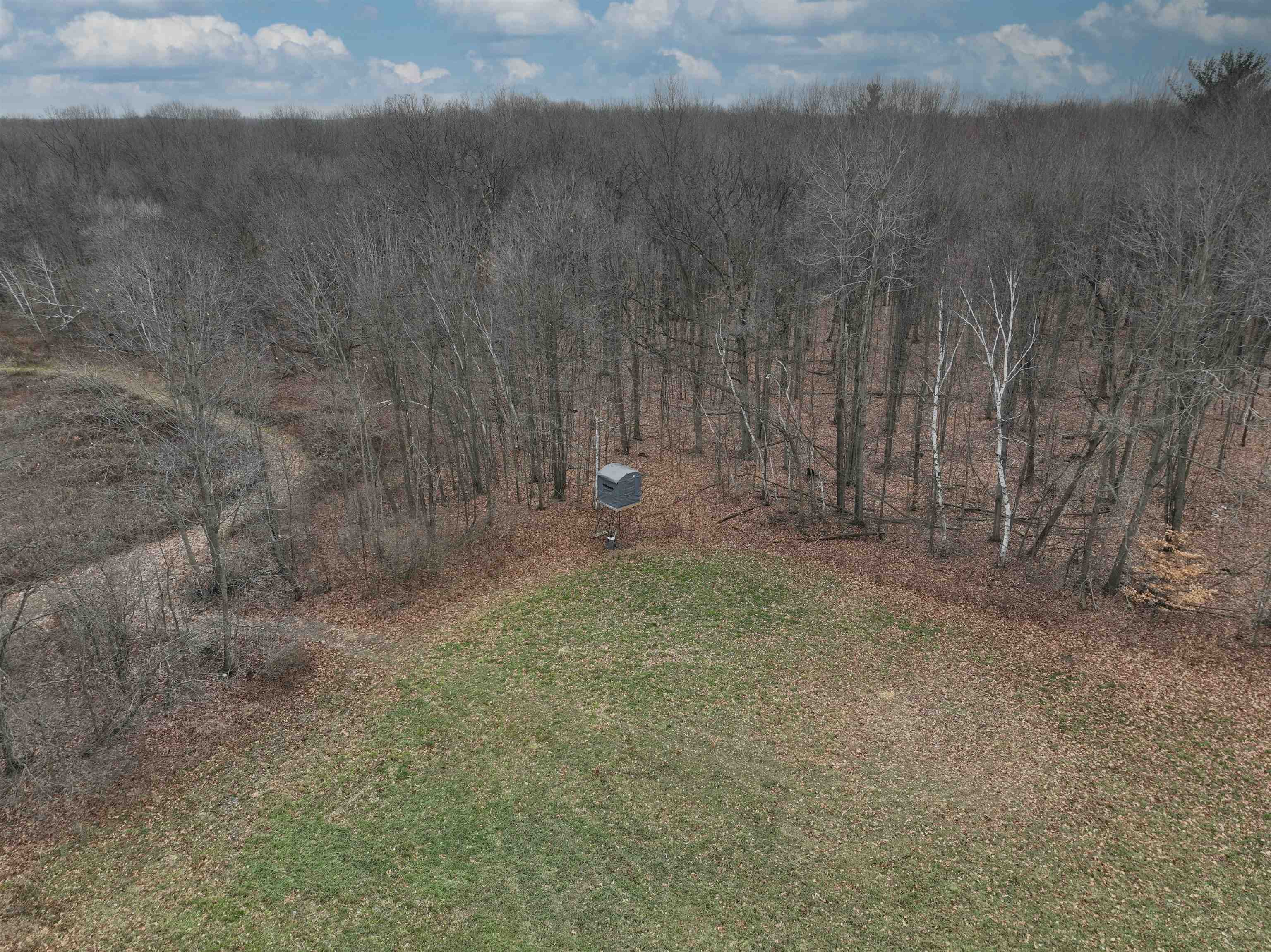 5233 Arbela Road Millington, MI 48746 - Photo 88 of 93 50086716-87.JPG