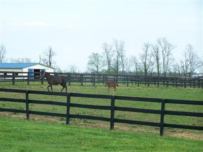 362 Iron Works Road Paris, KY 40361 - Photo 32 of 44 Photo 32