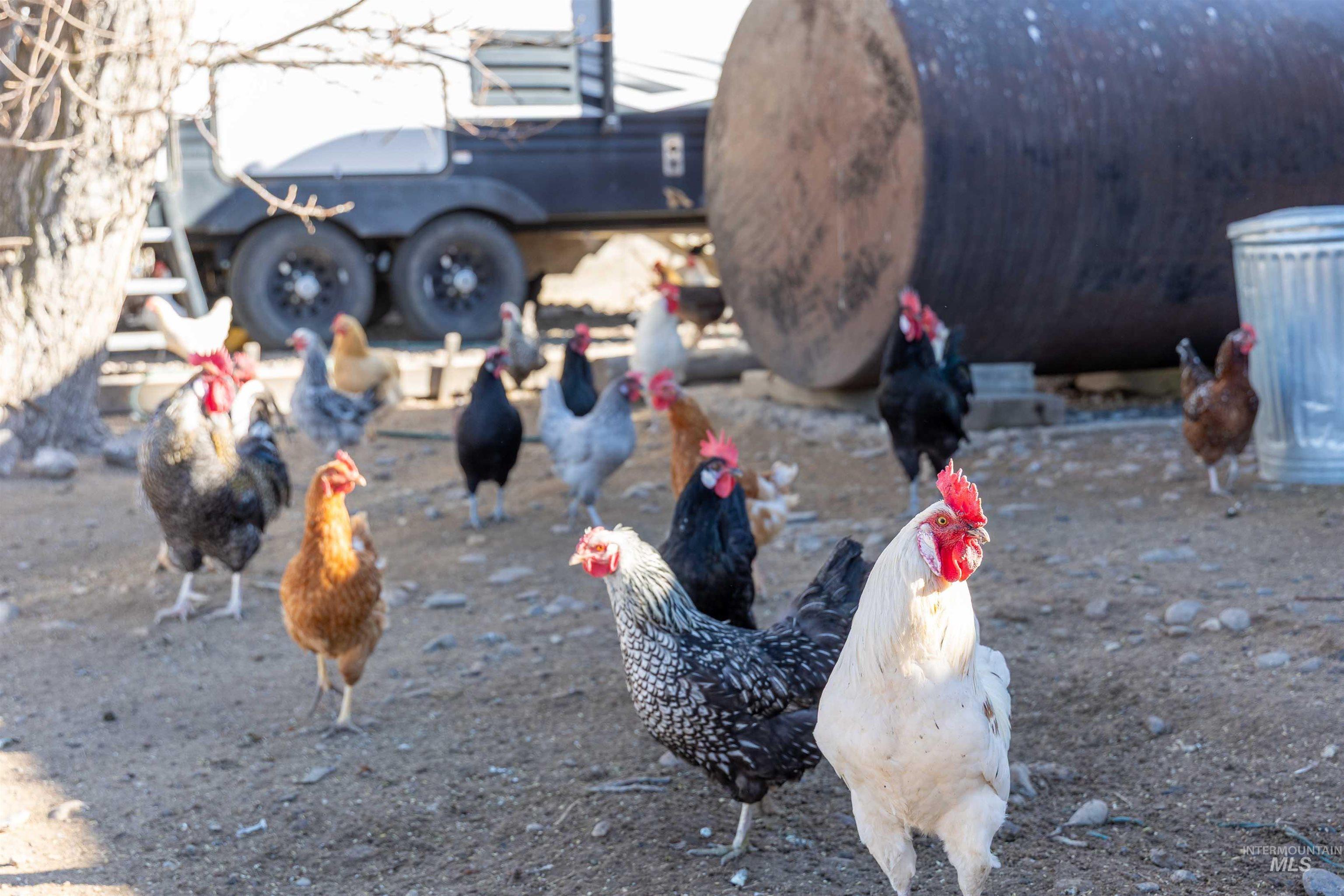 1898 East 3700th Street North Filer, ID 83328 - Photo 28 of 40 Exterior view