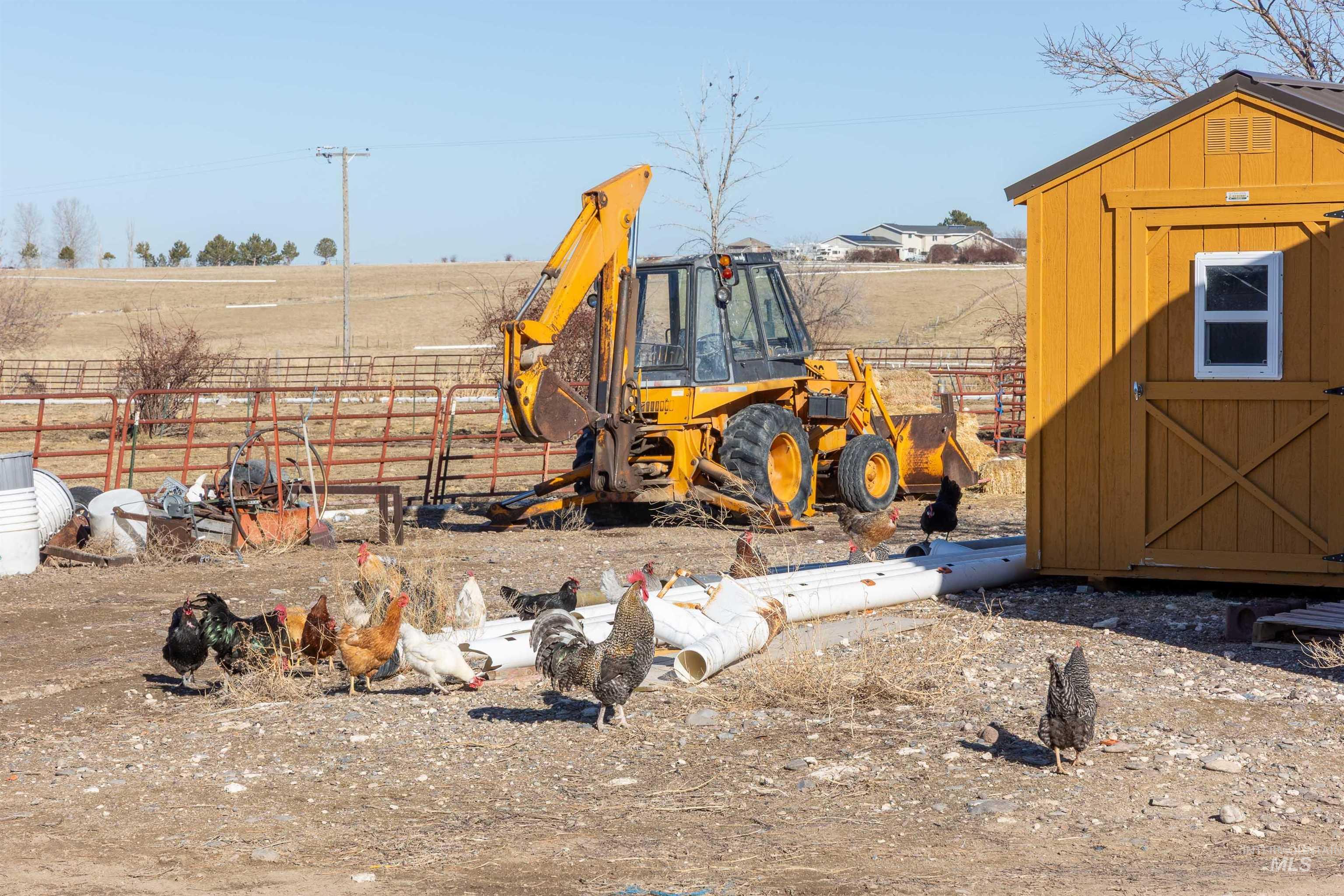 1898 East 3700th Street North Filer, ID 83328 - Photo 29 of 40 View of yard with a storage shed and a view of countryside