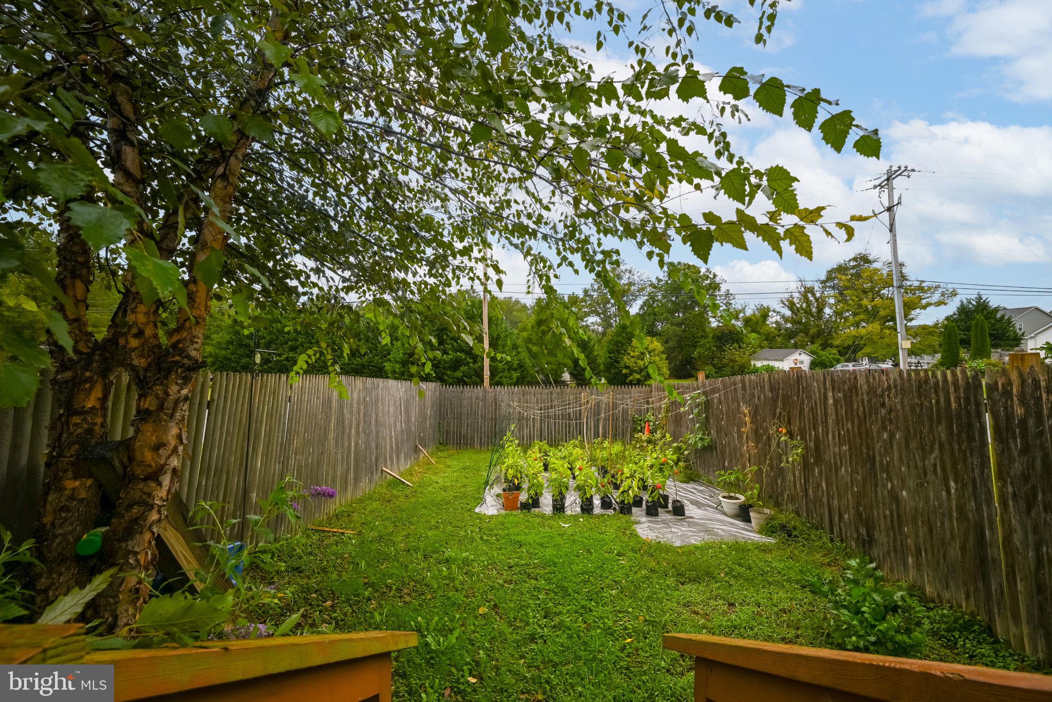 201 Buttonwoods Road Elkton, MD 21921 - Photo 5 of 34 Gallery Image 5