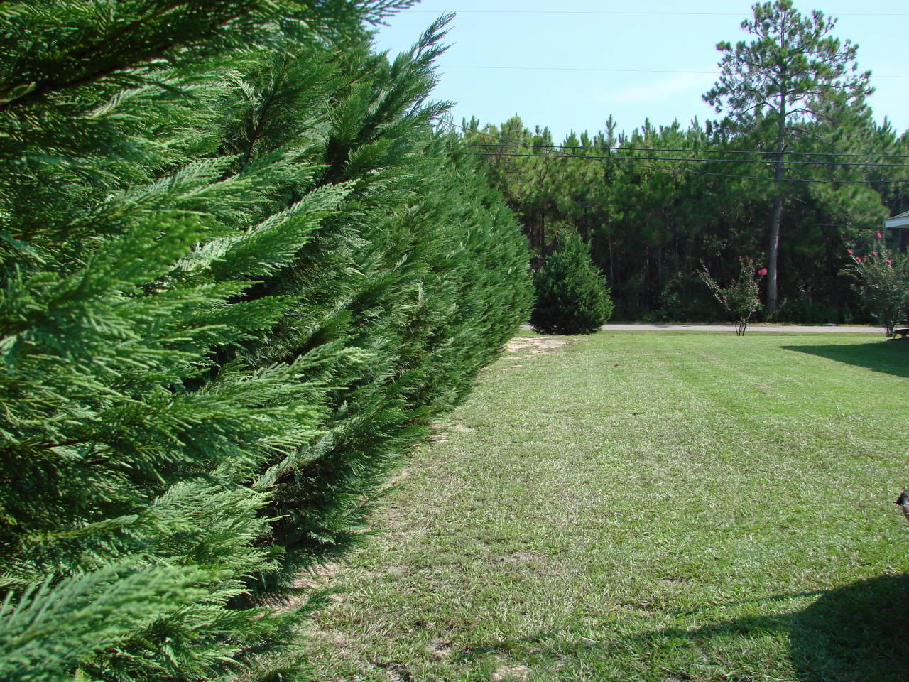 1000 Ashley Road Milton, FL 32583 - Photo 36 of 42 Gallery Image 36
