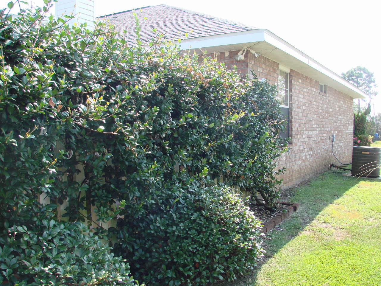 1000 Ashley Road Milton, FL 32583 - Photo 38 of 42 Gallery Image 38