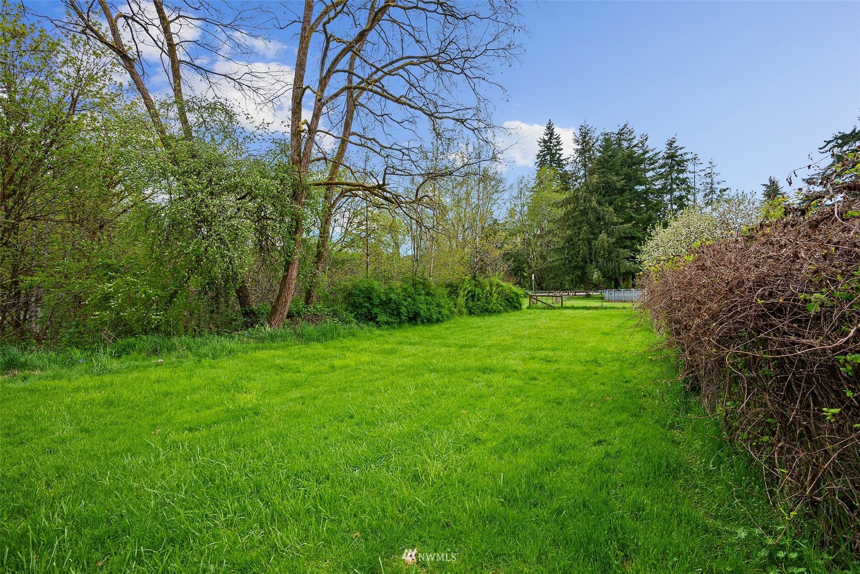 108 Jones Road Pe Ell, WA 98572 - Photo 10 of 14 Gallery Image 10
