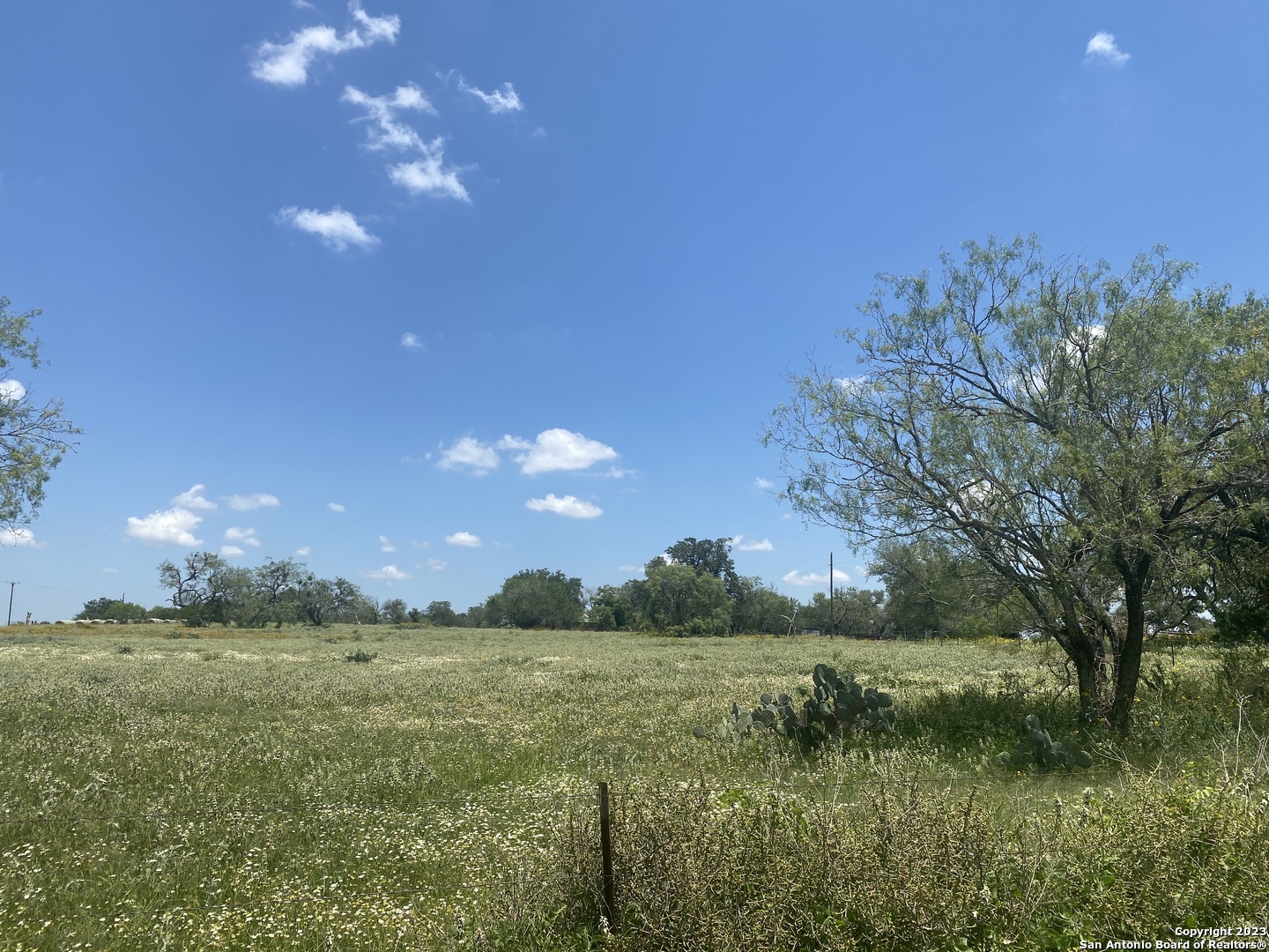 1695 Arnold Road Poteet, TX 78065 - Photo 5 of 29