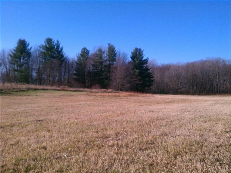 South Vanwagoner Road Hesperia, MI 49421 - Photo 12 of 20 Additional Photo