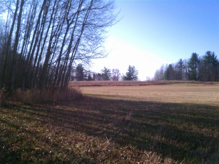 South Vanwagoner Road Hesperia, MI 49421 - Photo 13 of 20 Additional Photo