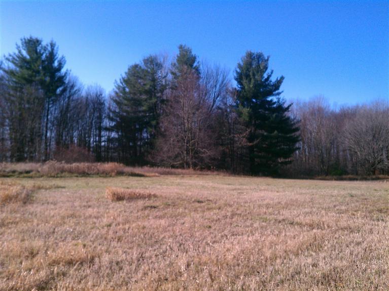 South Vanwagoner Road Hesperia, MI 49421 - Photo 14 of 20 Additional Photo