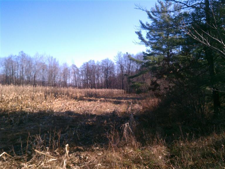 South Vanwagoner Road Hesperia, MI 49421 - Photo 16 of 20 Additional Photo
