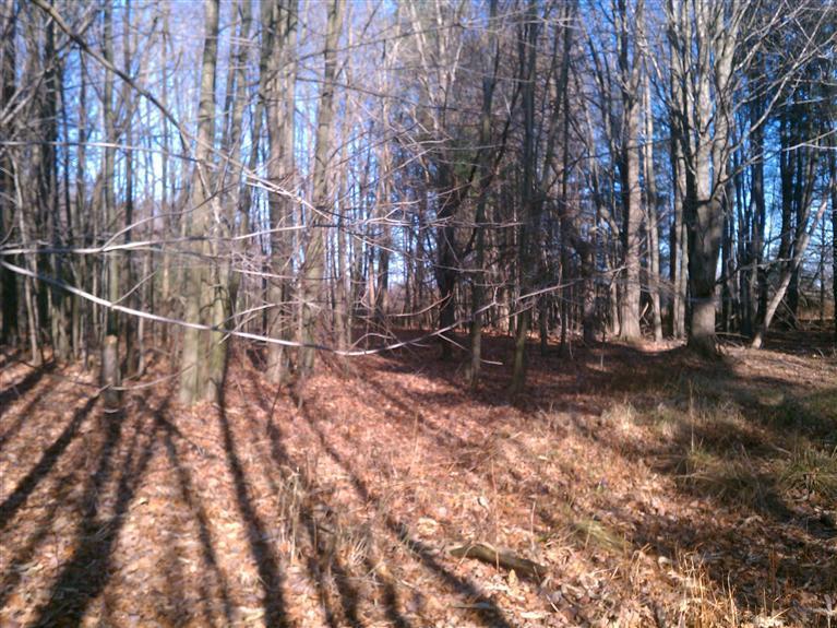 South Vanwagoner Road Hesperia, MI 49421 - Photo 17 of 20 Additional Photo
