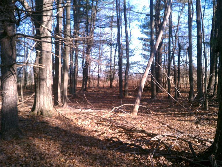 South Vanwagoner Road Hesperia, MI 49421 - Photo 18 of 20 Additional Photo