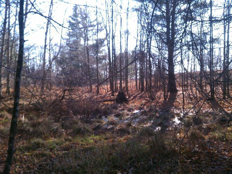 South Vanwagoner Road Hesperia, MI 49421 - Photo 19 of 20 Additional Photo