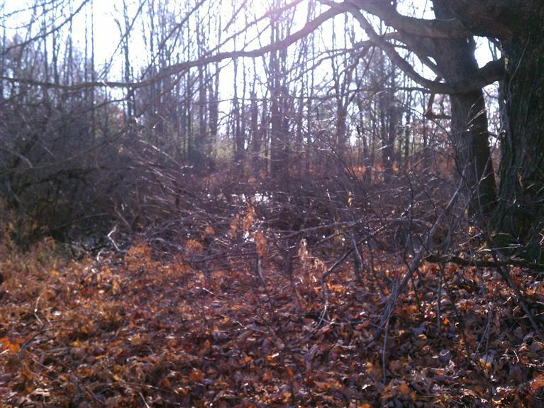 South Vanwagoner Road Hesperia, MI 49421 - Photo 8 of 20 Additional Photo