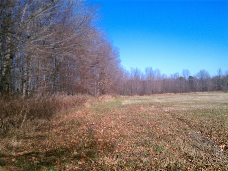 South Vanwagoner Road Hesperia, MI 49421 - Photo 9 of 20 Additional Photo