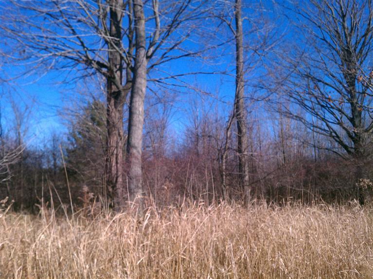 South Vanwagoner Road Hesperia, MI 49421 - Photo 10 of 20 Additional Photo