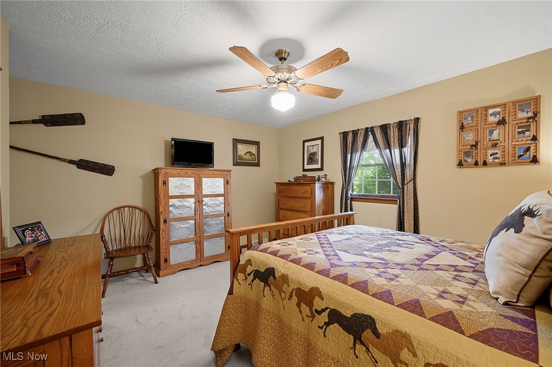 40725 Biggs Road Lagrange, OH 44050 - Photo 29 of 47 Gallery Image 29