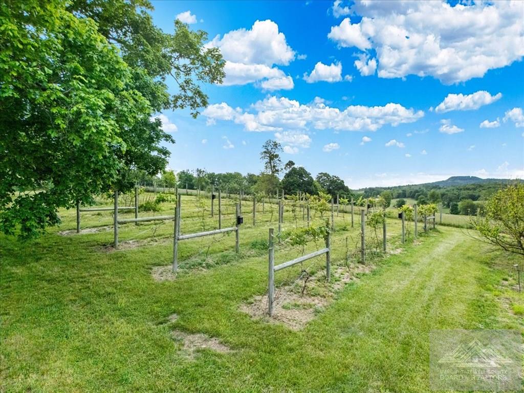 665 Scott Hollow Road Sinks Grove, WV 24976 - Photo 108 of 134 Gallery Image 108