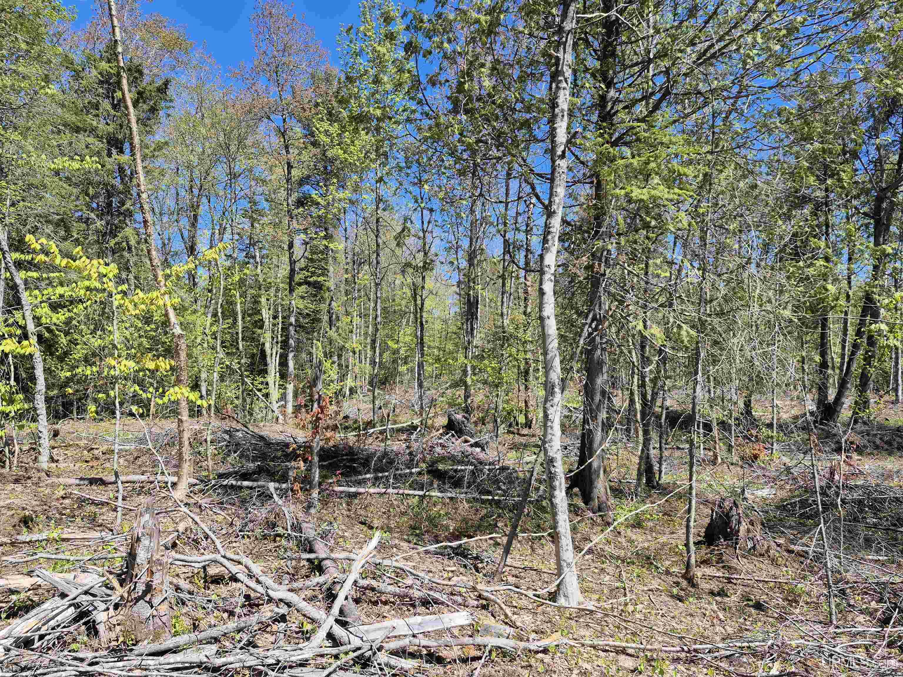 South 8-acres Perch Lake Road Munising, MI 49862 - Photo 13 of 44 Gallery Image 13