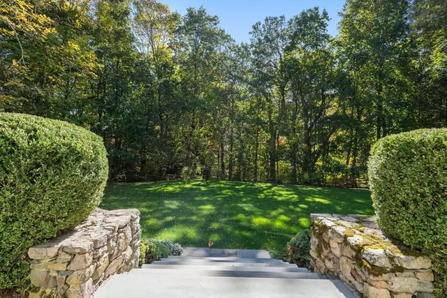 a view of a park with large trees