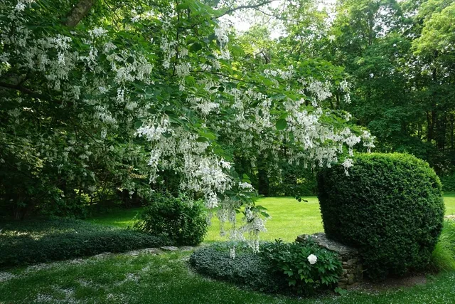 a view of a house with a yard and garden