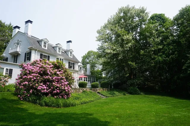 a view of a yard with plants and a fountain
