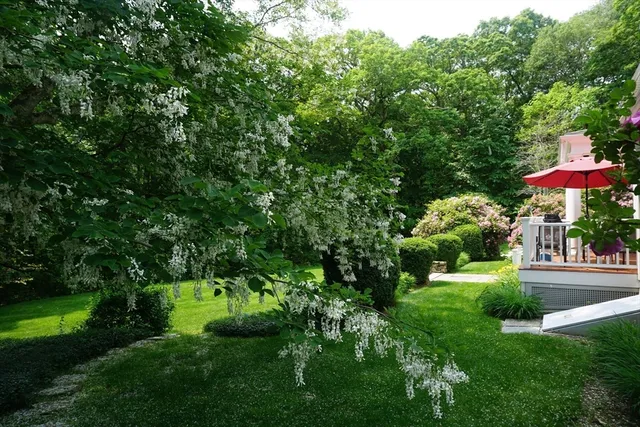 a view of a flower in a garden