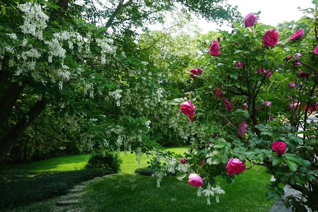 a view of a street with a trees