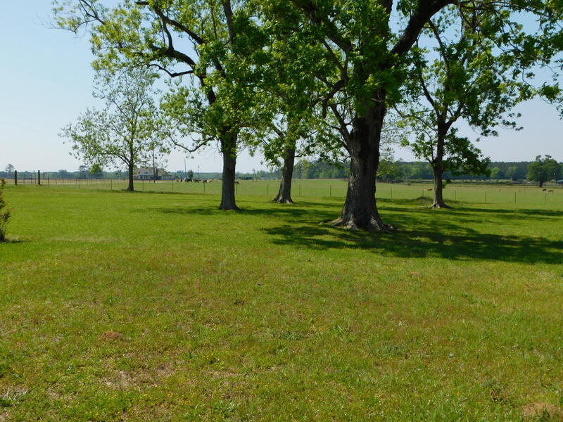 6433 Hall Road Jay, FL 32565 - Photo 44 of 48 DSCN9877